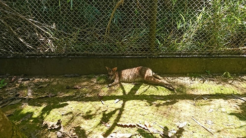2日・ネオパークとシュノーケル！